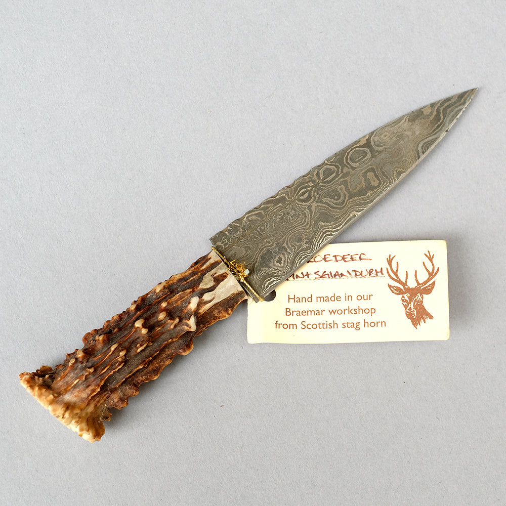 Sgian Dubh with Scottish Stag Horn Handle Damascus Blade