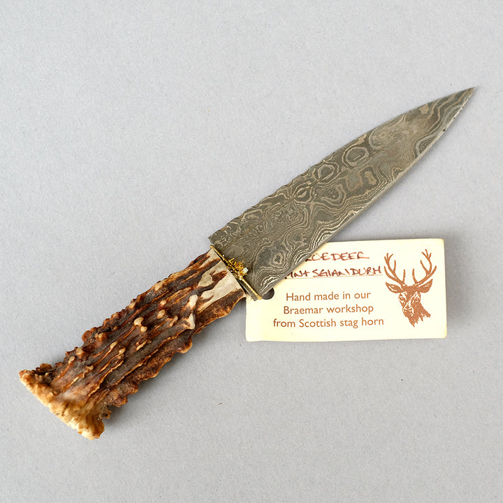 Sgian Dubh with Scottish Stag Horn Handle Damascus Blade