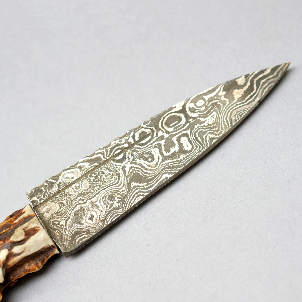 Sgian Dubh with Scottish Stag Horn Handle Damascus Blade